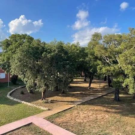 Casa Ghjulia St-cyprien Retro Chic Apartment Lecci